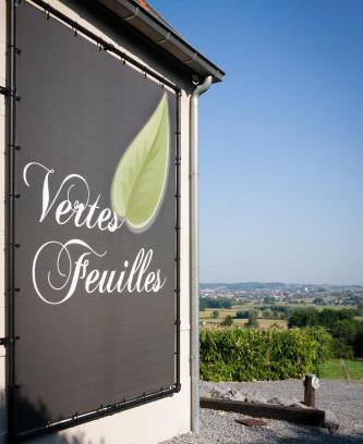 Frasnes-Lez-Anvaing Hotel | Vertes Feuilles