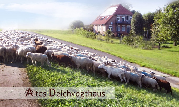 Neu Bleckede House | Very nice, restored timbered house with private garden and wooden sauna