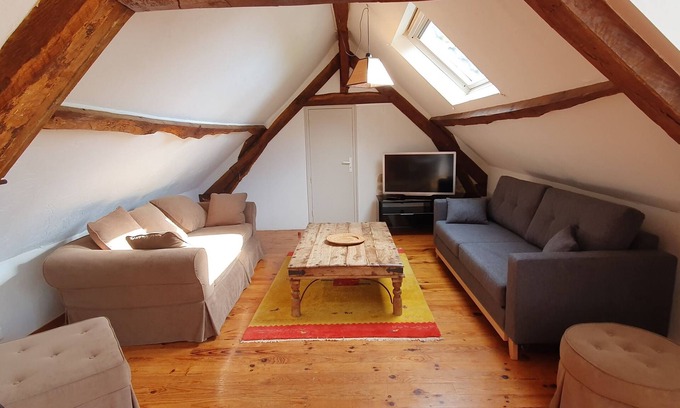 Saint-Aubin-le-Monial Apartment | Very spacious apartment close to a fishing lake and pedestrian zone.