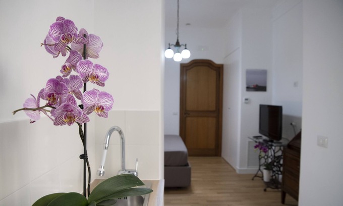 Santa Lucia Apartment | Vesuvio Blu Apartment in the center of Naples