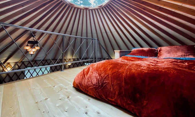 Sequim Cabin | Vibrant and unique yurt - Welcome to Madrona Grove