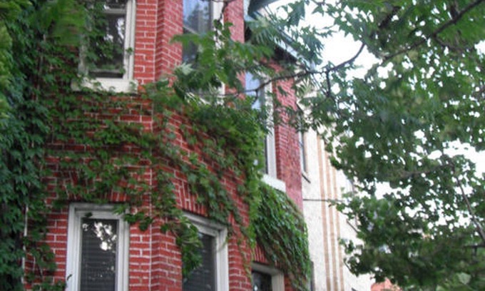 Niagara Apartment | Victorian Gem Open Concept Flat in King West