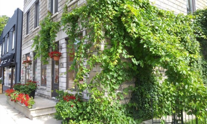 Farnham Apartment | Vieux-Old Farnham Appart Condotel1