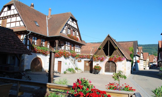Cleebourg House | Vignoble de Cléebourg - 10