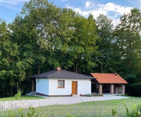 Nozicko House | Vikendica Šššuma