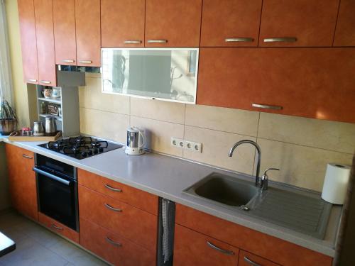 Panevezys Apartment | Viktorijos Apartamentai - Erdvus 2 kambarių butas