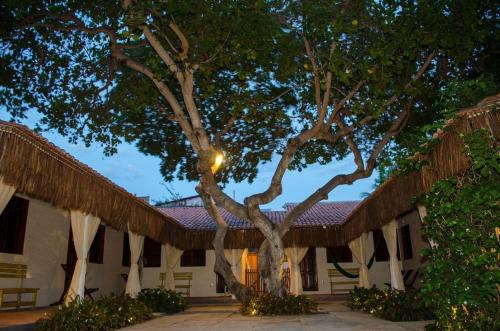 Jijoca de Jericoacoara Apartment | Vila Lua Aparts - Apartamento 4