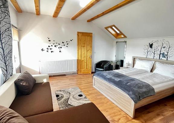 Hateg Villa | Vila SOFIA