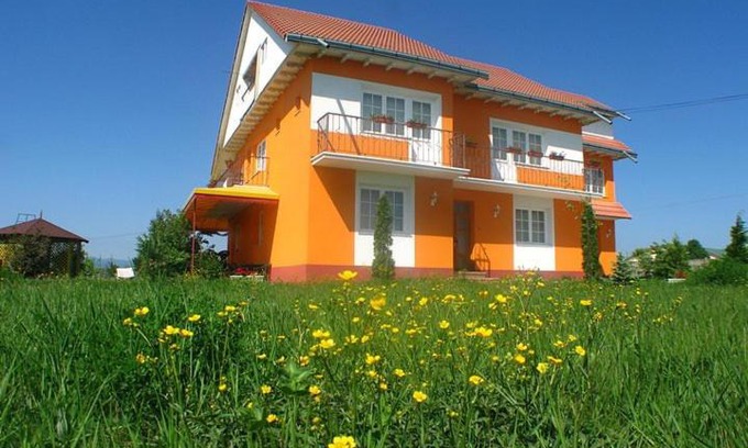 Tirgu Neamt House | Vila Vlad
