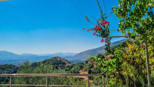 Lukove Villa | Villa Anemos