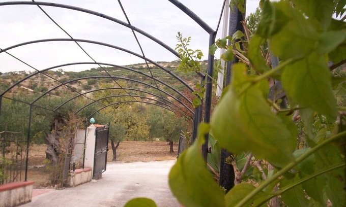 Sciacca Historic Centre Villa | VILLA ANGELA in Sicily for 5 people not far from the sea with swimming pool