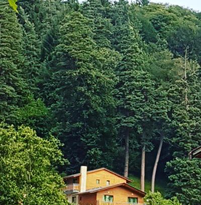 Bakuriani Villa | Villa B Barleon-Bakuriani
