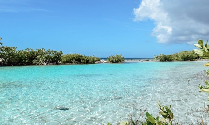 Marie Pampoen Villa | Villa Blenchi. Luxe Villa met Privézwembad: Beleef het Beste van Curaçao!