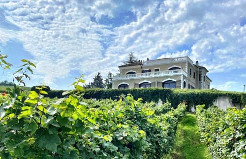 Montecalvo Versiggia House | Villa Chloé