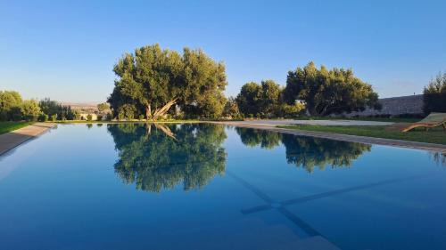 Aguerd House | Villa Coriandre