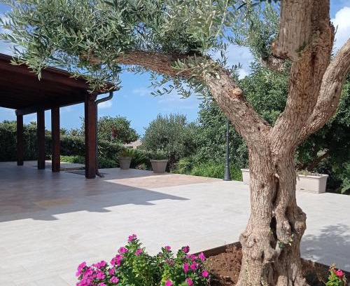 Custonaci House | Villa dei Colori