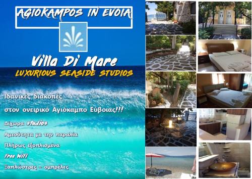 Agiokampos Apartment | Villa di Mare ktima Piperi