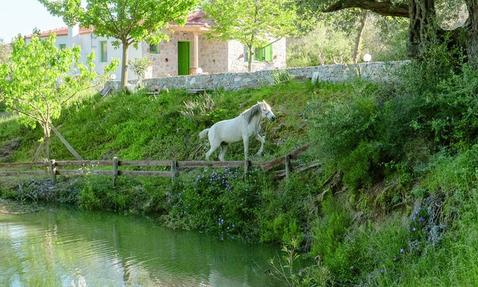 Lampini Villa | Villa Elia with mountain and lake view