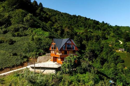 Cayeli House | Villa Emir