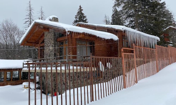 Bakuriani Villa | Villa Fox Bakuriani