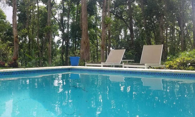 Guzman Abajo Villa | Villa Ilusion into Rainforest El Yunque