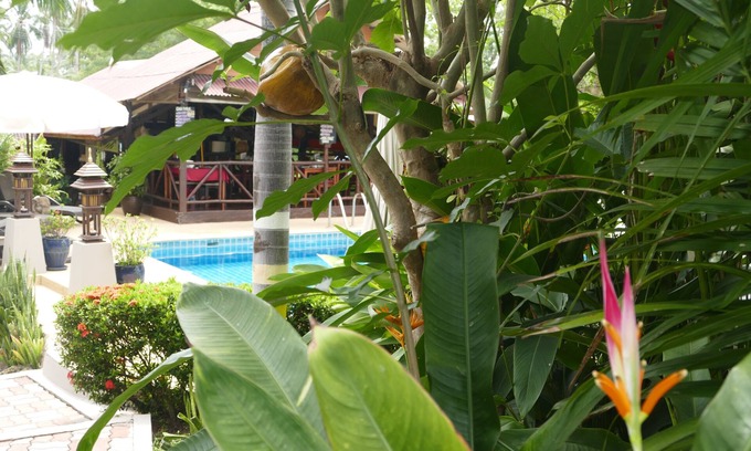 Lamai Villa | VILLA IMPERIAL 2 Bedrooms, 2 Bathrooms, Pool/Jacuzzi, Coconut Grove, Beach 400m