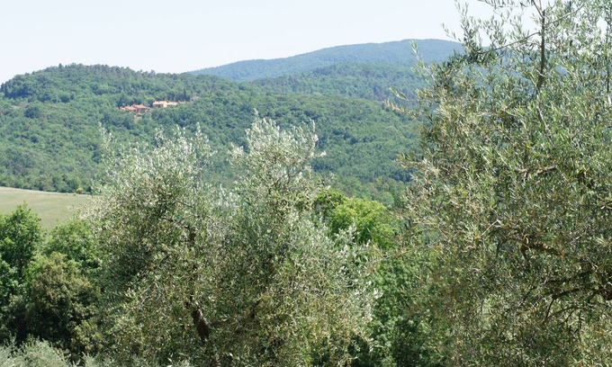 Gambassi Terme Villa | Villa in the woods and countryside near San Gimignano