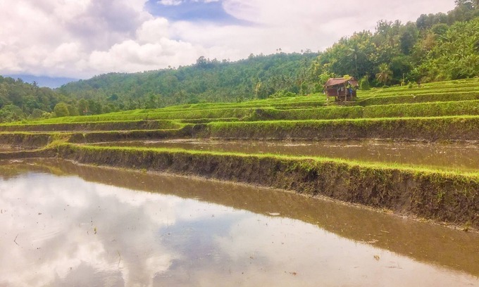 Seririt House | Villa Kedis Munduk - Balinese style villa