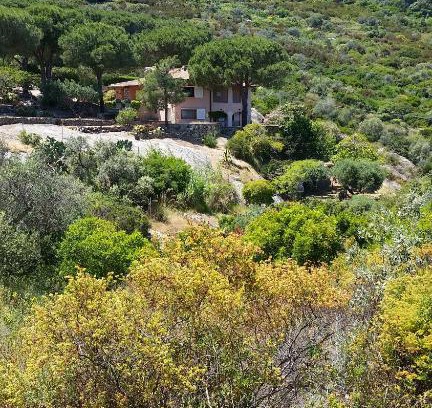Arenella Villa | Villa Laura Aegilium