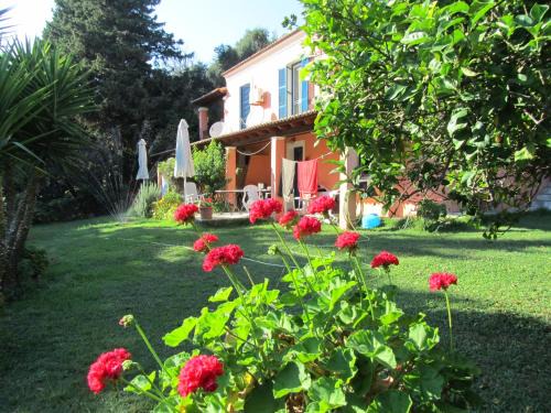 Skala House | Villa Leena