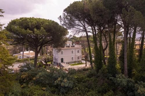 Grottaferrata House | VILLA MADRE Suites e Private Spa