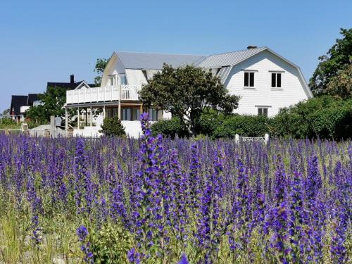 Byxelkrok Apartment | Villa Neptuni rumsuthyrning