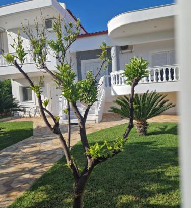 Kato Assos Villa | Villa Orangerie - Where Luxury Meets Serenity