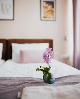 Polanica-Zdroj Bed & Breakfast | Villa Paula