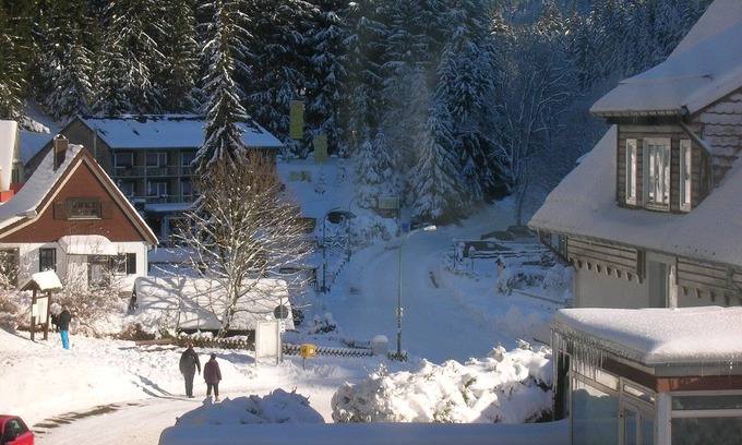 Wildemann Apartment | "Villa Schöber " Cozy vacation apartment on the edge of the forest for 4 people
