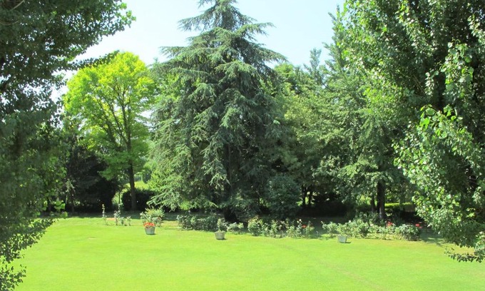 Gargallo House | Villa Uva