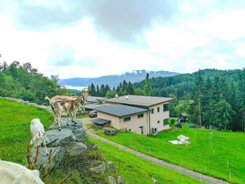 Techelsberg am Worther See Villa | Villa Villa Techelsberg by Interhome
