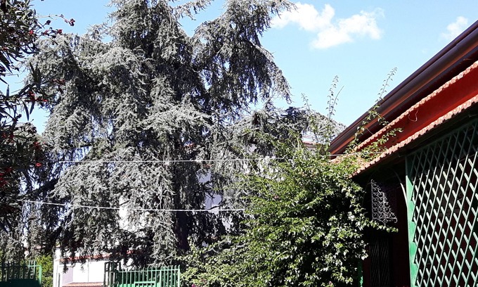 Torre Annunziata Villa | Villa Vitiello holiday home near Pompeii Naples Sorrento