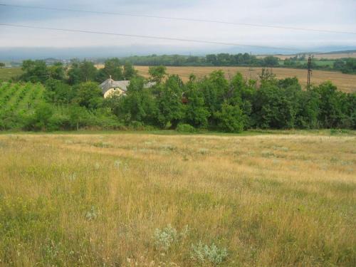 Kiralyszentistvan House | Vincellér Vendégház