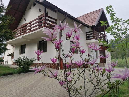 Gura Humorului House | VoroLand