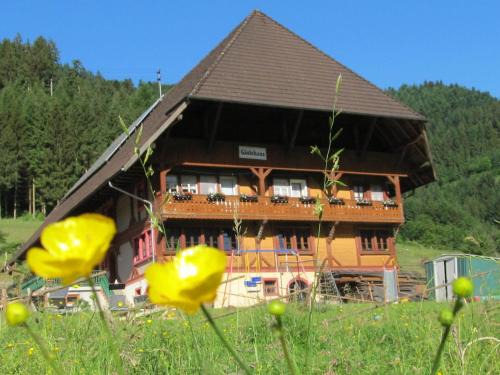 Gutach House | Wäldebauernhof
