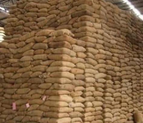 Otukpo Apartment | W180 King of Cashew Nut