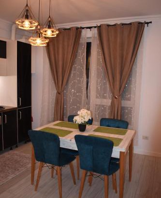 Radauti Apartment | Wald Central Residence