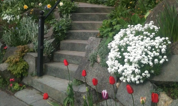 Central District House | Walk to the lake from your Classic Seattle Craftsman!