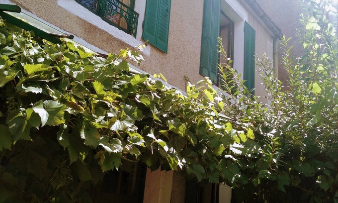 Chatel-Censoir House | Warm house, free wifi, private garden with flowers, 20 min. from Vézelay.