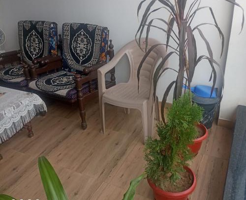 Nagpur House | Wasnik's Villa