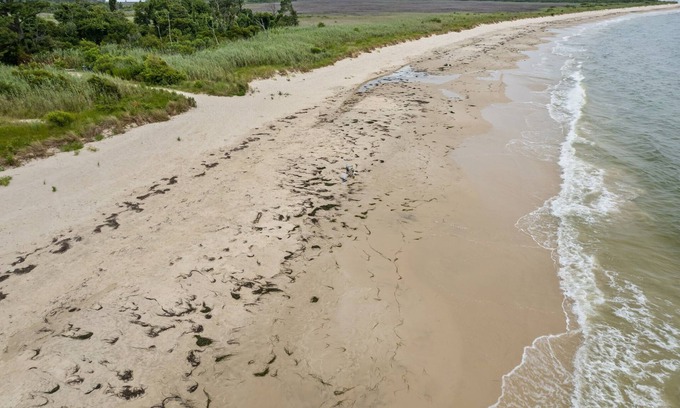 Fox Hill - Grandview House | WATERFRONT*SEMI-PRIVATE BEACH*KING BD* DUAL DESK WORKSTATIONS* BLAZING FAST WIFI