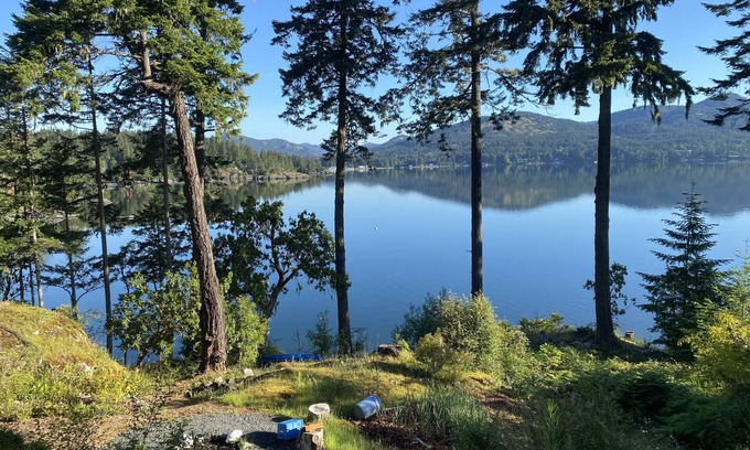 Juan de Fuca Electoral Area Apartment | Waterfront! Tiny House Sweet-Suite perched in the forest on the oceanfront.