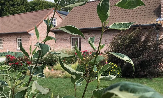 Watou House | Watou Guesthouse