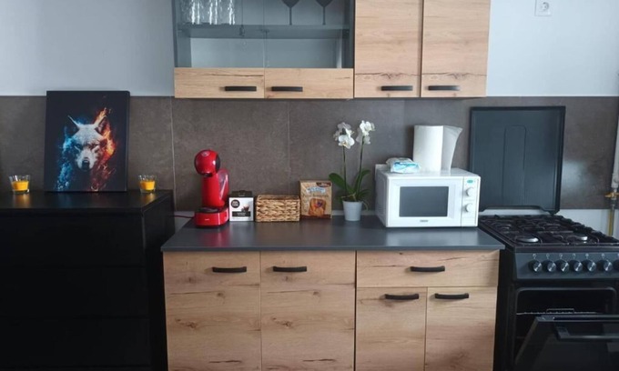 Tractorul Apartment | We cordially invite you to a spacious and welcoming apartment in Brasov.